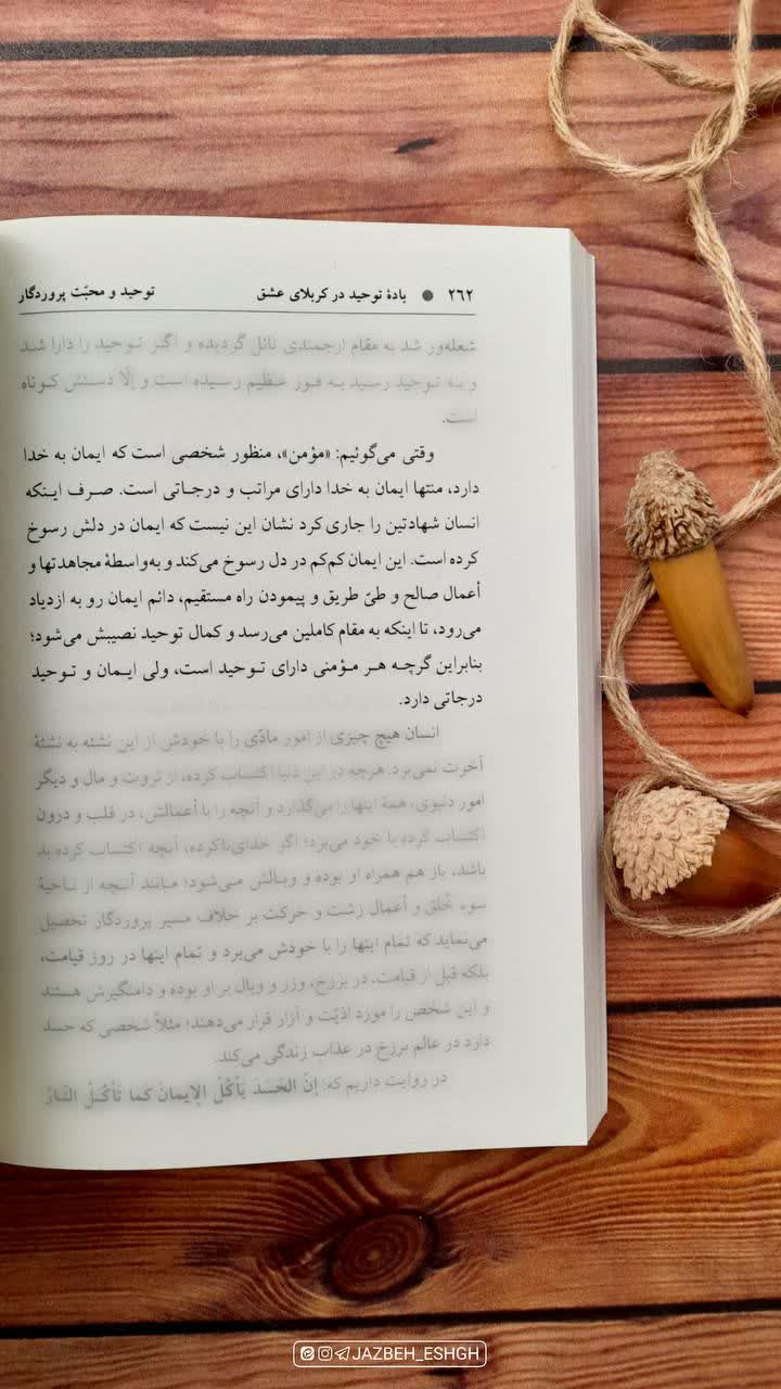 🌲مومن و درجات توحید